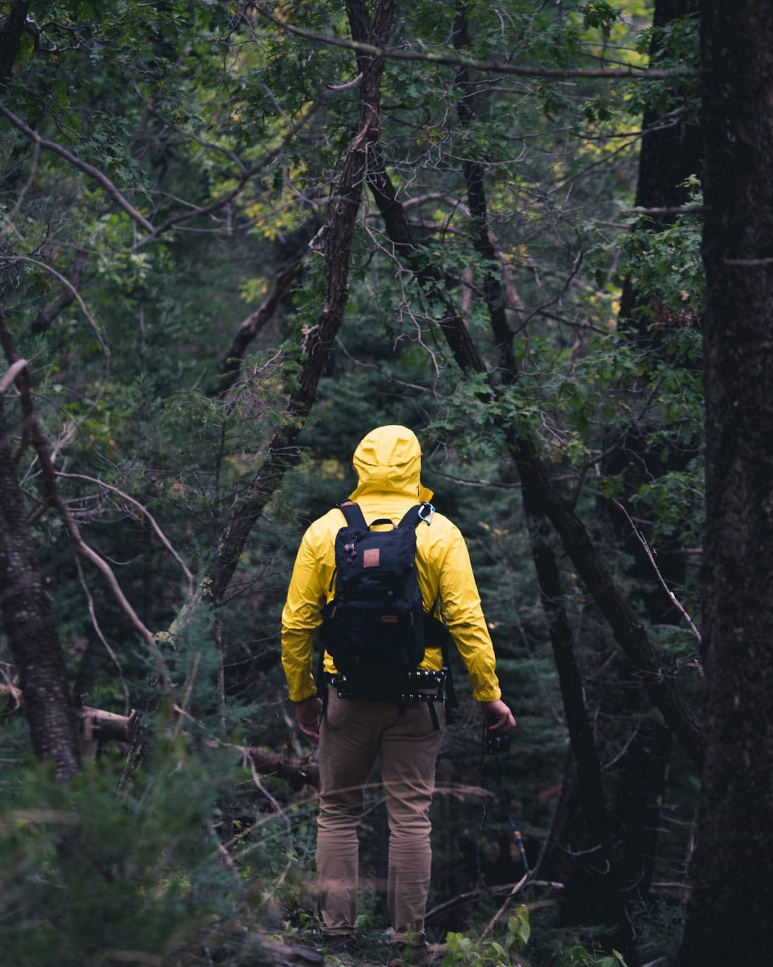 man i yellow jacket standing in the forest